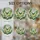 duiyfppz/products/6a2a9d9c2b6c4a3f4baac243/gallery/FXHgH1KIKn