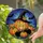 duiyfppz/products/6a2a9dcc606614eac379d562/gallery/05n89hrfjg