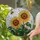 duiyfppz/products/6a2a9e3ad1fe396f7269bd6e/gallery/NgHcCJnF73