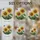 duiyfppz/products/6a2a9e3ad1fe396f7269bd6e/gallery/a4d5NLB8ql
