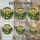 duiyfppz/products/6a2a9fbc30fd26baf012f3e2/gallery/cBRqQNOqR5