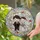 duiyfppz/products/6a2a9fd0afbeea2b5aca24e7/gallery/ESQotW-I7t