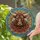 duiyfppz/products/6a2aa12c53ae586206efa561/gallery/kOhQ-Mefft