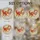duiyfppz/products/6a2aa14c2b6c4a34cfaac723/gallery/2wDSHRw4x8
