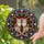 duiyfppz/products/6a2aa15d53ae58763fefa598/gallery/BkwN_NvHOQ