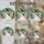 duiyfppz/products/6a2aa3072b6c4a4f0caaca1a/gallery/1Hri8KbW2n