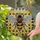 duiyfppz/products/6a2aa375606614f26e79df82/gallery/I-mUK9jURp