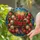 duiyfppz/products/6a2adbd6071a26b17d5c89b8/gallery/Ggu9ITbrMD