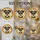 duiyfppz/products/6a2add5553ae58804cefc9b6/gallery/_cSHPk8mpZ