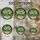 duiyfppz/products/6a2adeb753ae583e2defccee/gallery/RTAq16kJGQ
