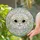 duiyfppz/products/6a2adf1d5dbf6f409a642a16/gallery/2Lybr6OZoj