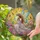 duiyfppz/products/6a2adf5153ae58127befce70/gallery/smOPCJ4eue