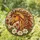duiyfppz/products/6a2adfa253ae586d1aefcf33/gallery/HC2HFckv9V