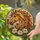 duiyfppz/products/6a2adfa253ae586d1aefcf33/gallery/uACXKFftOM