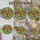 duiyfppz/products/6a2adfc11bc7976555cd6e31/gallery/eFNm46mh38
