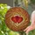 duiyfppz/products/6a2ae08a5dbf6f291a642b9b/gallery/chykkGa-sJ
