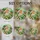 duiyfppz/products/6a2ae1531bc7972da1cd6f79/gallery/IyxHqN12XS