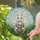 duiyfppz/products/6a2ae1cb5dbf6f0a94642ccd/gallery/Bn0flE_YDk
