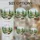 duiyfppz/products/6a2ae2181bc797bed8cd70c3/gallery/cGIJuOWIPK