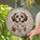 duiyfppz/products/6a2ae2cb1bc79718a5cd71af/gallery/Py1Q1qN7so