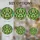 duiyfppz/products/6a2ae43e1036d86c5349c1d1/gallery/HOoSLyOTCf