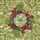 duiyfppz/products/6a2ae4e11036d84b2449c2ef/gallery/W8AZZAksw9