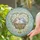 duiyfppz/products/6a2ae582d3519914ee086b27/gallery/WpY7uV9Q62