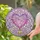 duiyfppz/products/6a2ae5ba1bc797715acd761a/gallery/DiPhLP65jy