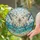 duiyfppz/products/6a2ae6ac30fd260d37132b96/gallery/WDzQyZOIuJ