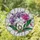 duiyfppz/products/6a2ae873d351992e0e086ce7/gallery/TAxwCAIgV7