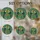 duiyfppz/products/6a2ae8981bc797303ecd787b/gallery/gEjMM-gUK2
