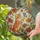 duiyfppz/products/6a2ae8aa5dbf6f95d2643431/gallery/bDSgdH_1bt