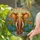 Elephant Tropical Foliage Water Lily Sunburst - Home Decor Gift for Elephant Lover Stained Glass Suncatcher - 2