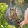 Great Horned Owl Wildflower Foliage - Home Decor Gift for Owl Lovers Stained Glass Suncatcher - 2