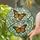 duiyfppz/products/6a2b9207cdcb771447ffdcb4/gallery/2IcPawNYym