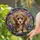 duiyfppz/products/6a2b942ecdcb77b270ffdff0/gallery/Nkx-BYWuL-