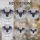duiyfppz/products/6a2b94c0071a26a96d5ce63d/gallery/76FTyHCqS0