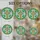 duiyfppz/products/6a2b9624766033e94fac099a/gallery/E1VECbCRXW
