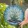 duiyfppz/products/6a2b963630fd2604fe136d8a/gallery/kAZIvW4rL-