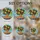 duiyfppz/products/6a2b96474e44d98056b00693/gallery/Q211rZjWQa