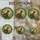 duiyfppz/products/6a2b973b4e44d92353b00832/gallery/WvYKiPH46C