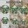 duiyfppz/products/6a2b97932d14e06aa9819446/gallery/jY8Q82SUvu