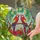 duiyfppz/products/6a2b97a4d35199310d08ab4d/gallery/D-oFZc1iqw