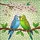 duiyfppz/products/6a2b97b8cdcb7707c7ffe334/gallery/6b_8c9ZPid