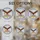 duiyfppz/products/6a2b98875dbe889f7c581f5c/gallery/i65rQTZ6GW