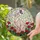 duiyfppz/products/6a2b99064e44d978c5b009ff/gallery/EAMAKXNHHr
