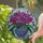 duiyfppz/products/6a2b9ab130fd26db0c137235/gallery/vGoxfpLz5-