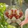 duiyfppz/products/6a2b9b1ccdcb7778a5ffeb97/gallery/Mf7jCdJES5