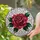 duiyfppz/products/6a2b9c0e76603345ffac0dad/gallery/xsTp2n1ktz