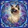 duiyfppz/products/6a2b9cc24e44d914dfb00cf0/gallery/mLfgx5XYoK